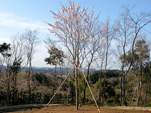 市原南霊園